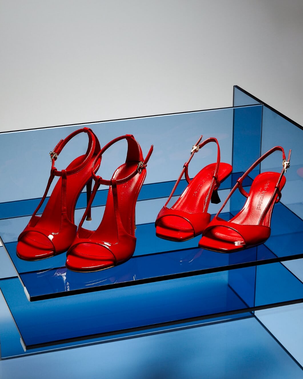 SERGIO LEVANTESI / The Tinted Series 5
