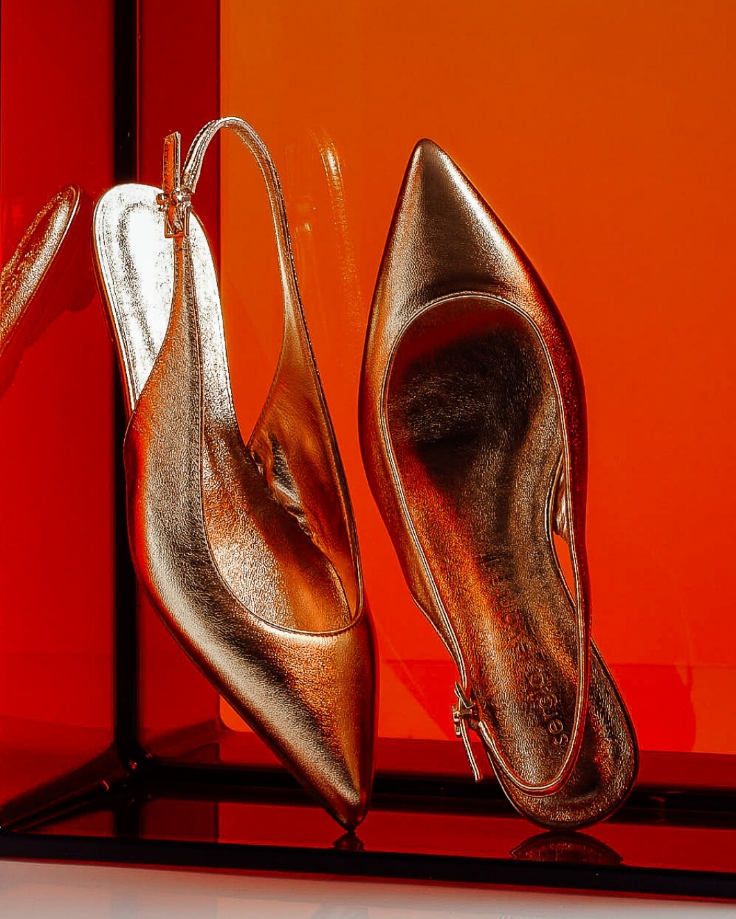 SERGIO LEVANTESI / The Tinted Series 8
