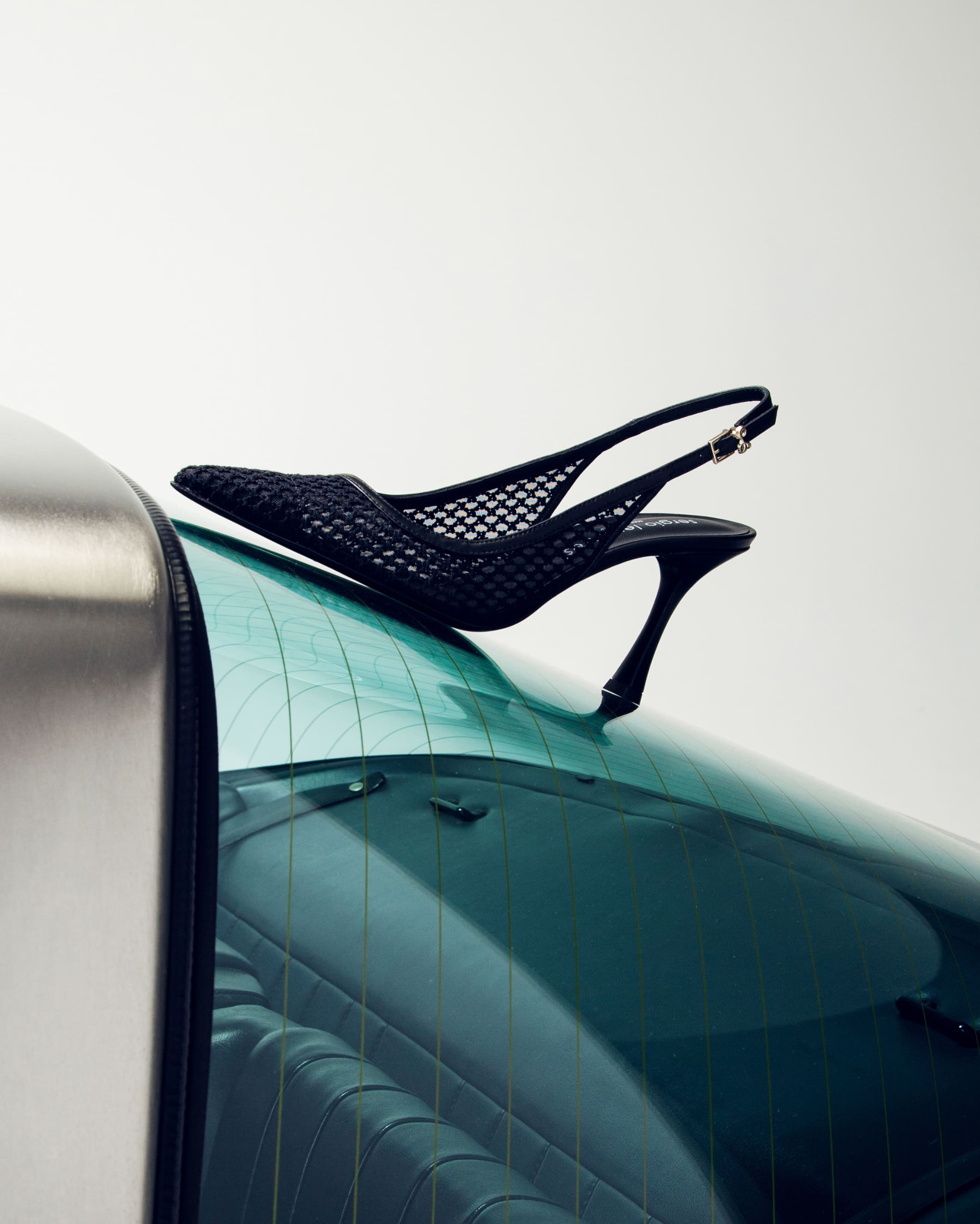 SERGIO LEVANTESI / Driven By Desire 2