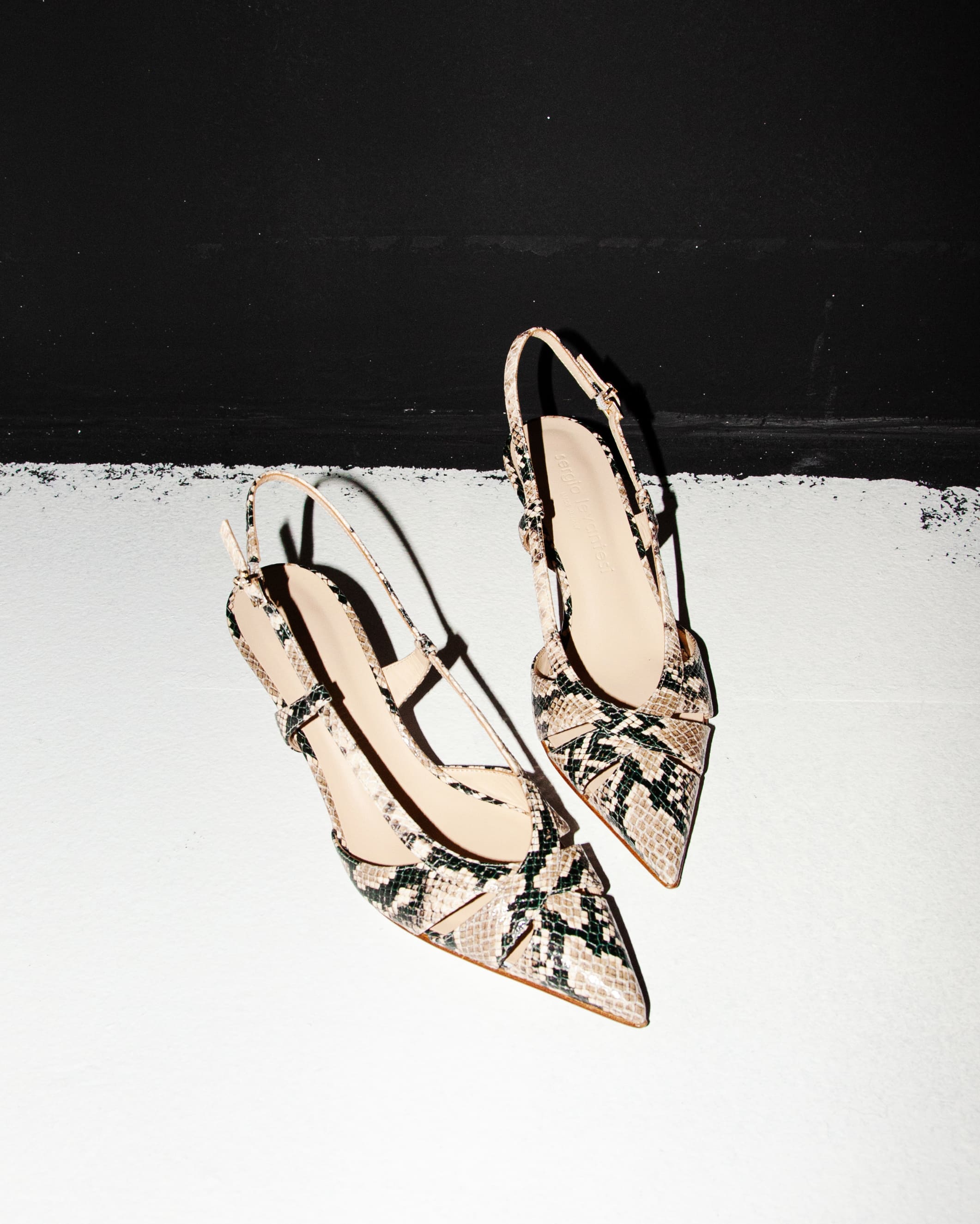 SERGIO LEVANTESI / Driven By Desire 4