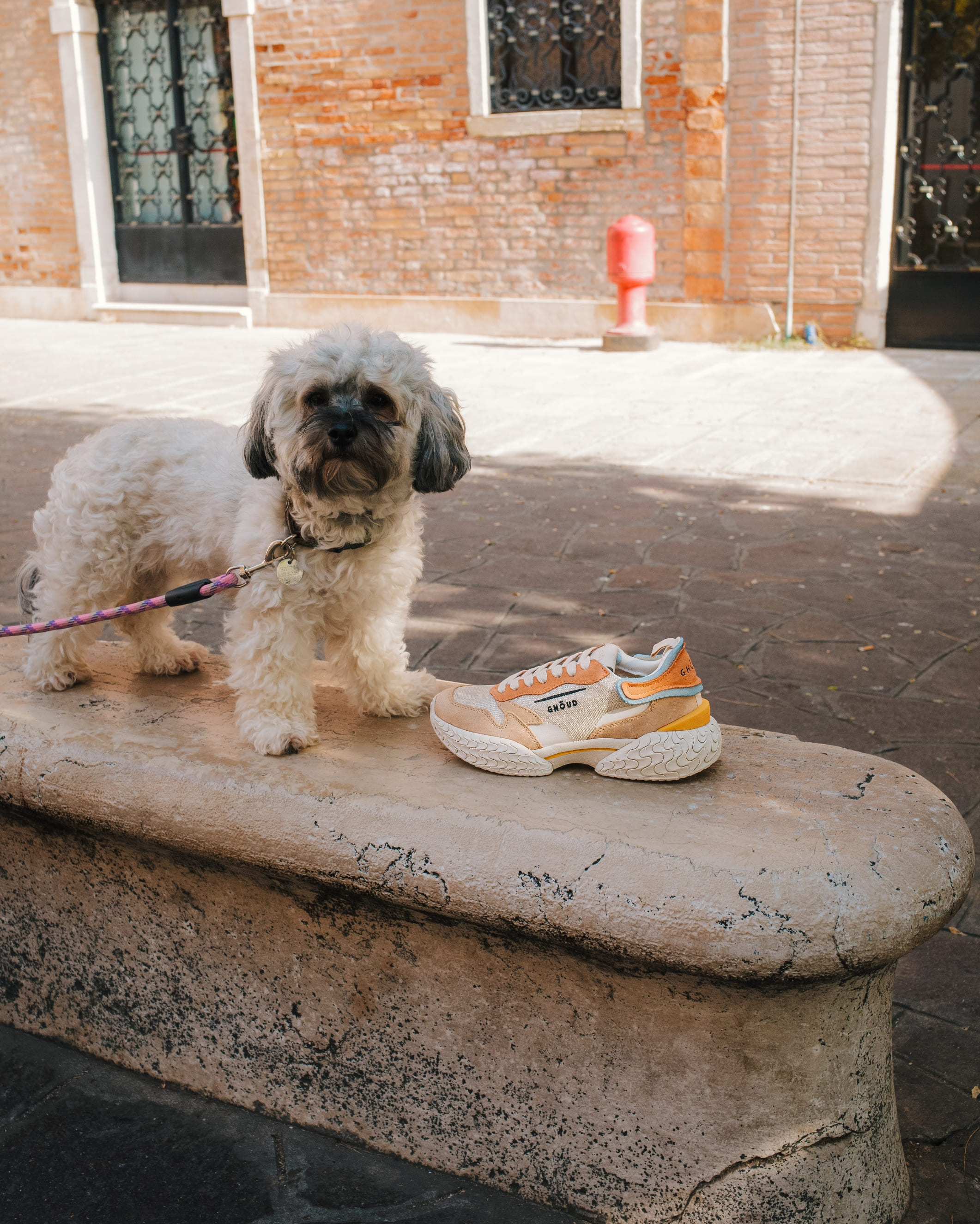 GHŌUD VENICE / Bella Venezia 11